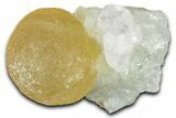 Botryoidal Yellow Fluorite on Quartz & Amethyst - India #342388-1